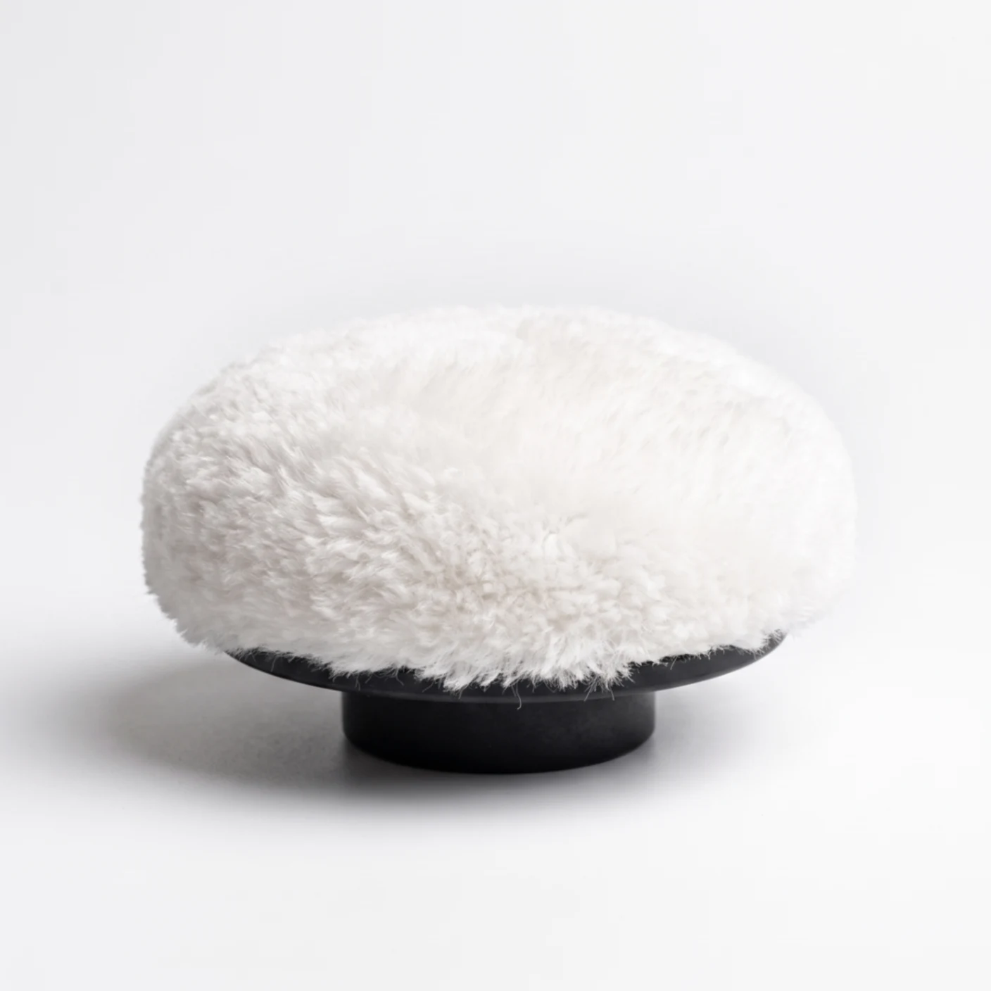 Polishing Soft Brush
